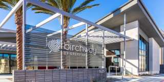Birchway Tropicana Gallery 19