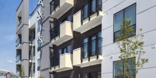 Axis Gallery 5