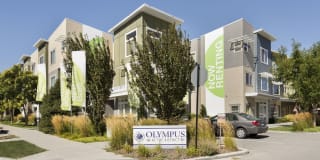 Olympus at The District Gallery 12