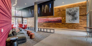The Cue Gallery 8