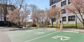 251 Dekalb Gallery 23