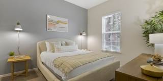 Bell Lake Forest Gallery 4