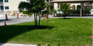 ** STUNNING BEACHFRONT 2/2 PENTHOUSE SEASONAL UNIT ** CASA BONITA GRANDE ** MODERN ** LUXURY ** BONITA SPRINGS ** Gallery 4
