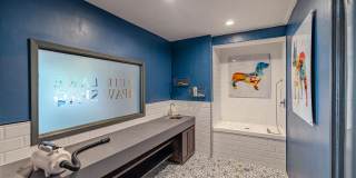 Muir Lake Gallery 31