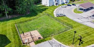 TGM Autumn Woods Gallery 29