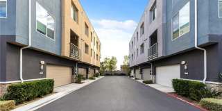 249 Steely Gallery 33