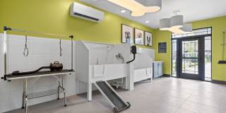 The Steadman Apartments Gallery 42