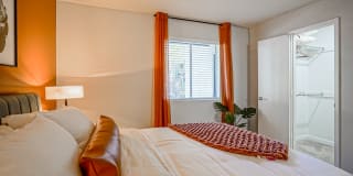 Treehouse Apartments Gallery 11