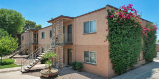 Mesa Ridge Gallery 3