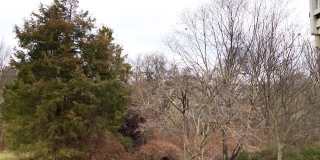 43076 LA RIVA DR Gallery 17