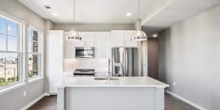 Society at Laurens Gallery 60