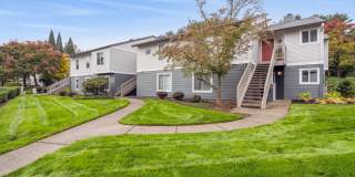 Skyline at Murrayhill Gallery 50