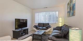 Austin Park Gallery 1