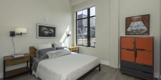 Arcade Sunshine Gallery 43