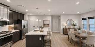 46270 MOUNT ALLEN Terrace Gallery 5