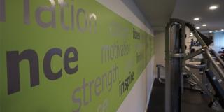 Plum Tree Gallery 26