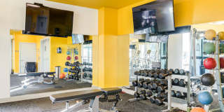 Indigo 19 Gallery 21