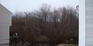 7418 HINDON CIR #B1203 Gallery 15