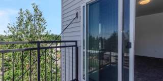 Pointe by Vintage Gallery 36