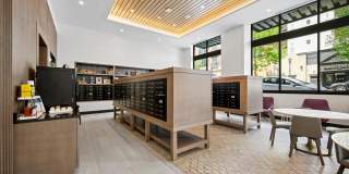 Piper Piper Gallery 23