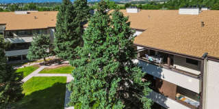 Spacious 3 Bedroom 2 Bathroom Unit Gallery 1