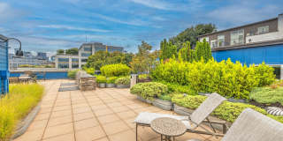 Dexter Lake Union Gallery 53