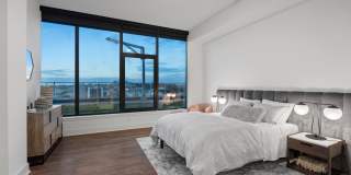 Stanza Little Italy Gallery 18