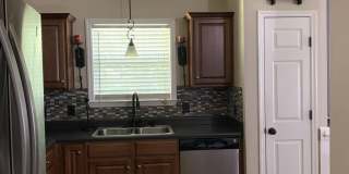 3443 Treaty Oak Trail Gallery 6
