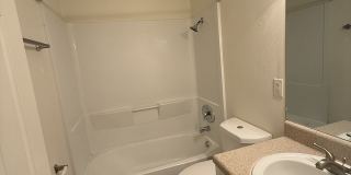 Marsh Cove & Somerset Gallery 34