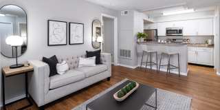 The Oasis at 1800 Gallery 3