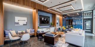 The Century Gallery 1