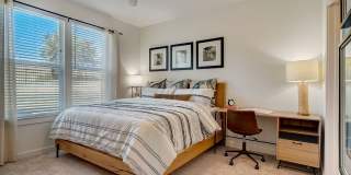 Napa Oaks Gallery 14