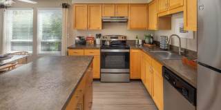 Sorrento Bluff Gallery 1