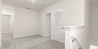 31470 Penny Surf Loop Gallery 14