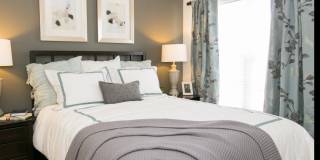 The Groves At Piney Orchard Gallery 3