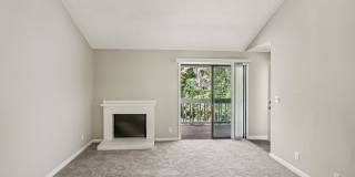 Creekside Canopy Creekside Canopy Gallery 5