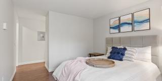 MonteVista Gallery 9