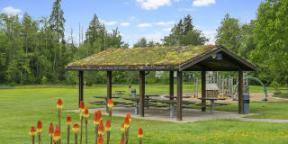 Reserve at Blueberry Park Gallery 15