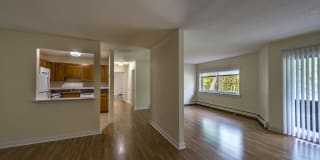 Redwood Hills Gallery 12