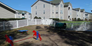 Summer Chase Gallery 1