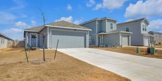 353 Marty Allen Gallery 1