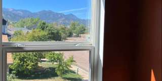 1565 Gumwood Drive Gallery 13