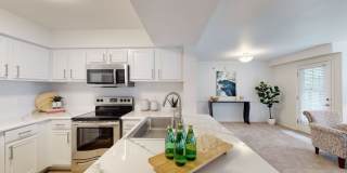 Preston Lakes Gallery 11