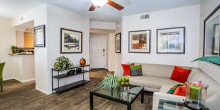 The Legends at La Paloma Gallery 8