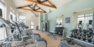 Olympus Waterford Gallery 5