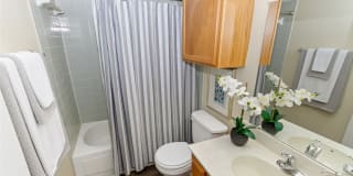 Hilton Head Gallery 18