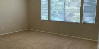 Paloma Del Sol Home Gallery 7