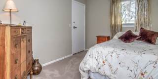 Trailside Living: 5BR Home Steps from Sanitas & Pearl Street Gallery 16