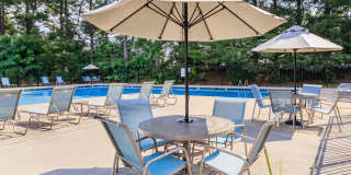 Walden Pond Gallery 5