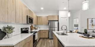 The Aster at Mountain Vista - BRAND NEW Gallery 2